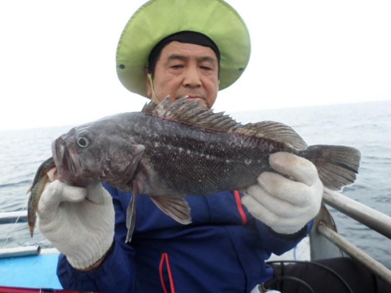 레인져호 조황갤러리입니다.