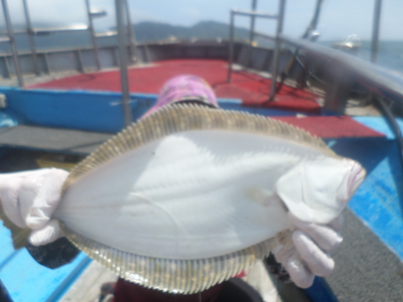 레인져호 조황갤러리입니다.