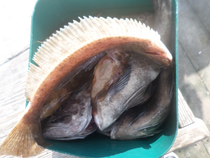 레인져호 조황갤러리입니다.
