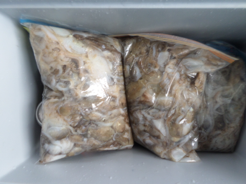 레인져호 조황갤러리입니다.