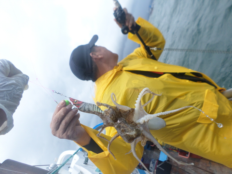 레인져호 조황갤러리입니다.