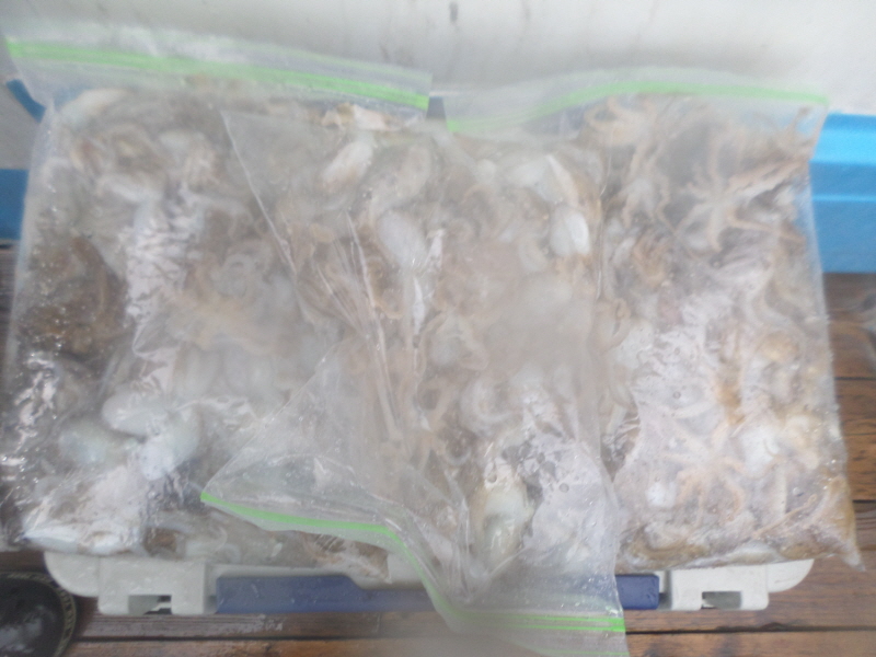 레인져호 조황갤러리입니다.