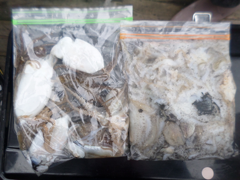 레인져호 조황갤러리입니다.