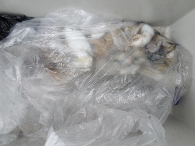 레인져호 조황갤러리입니다.