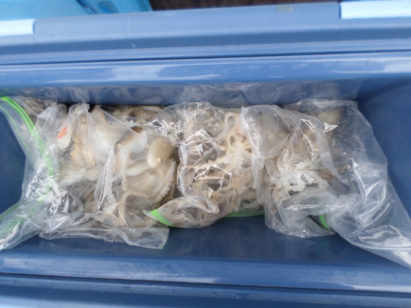 레인져호 조황갤러리입니다.