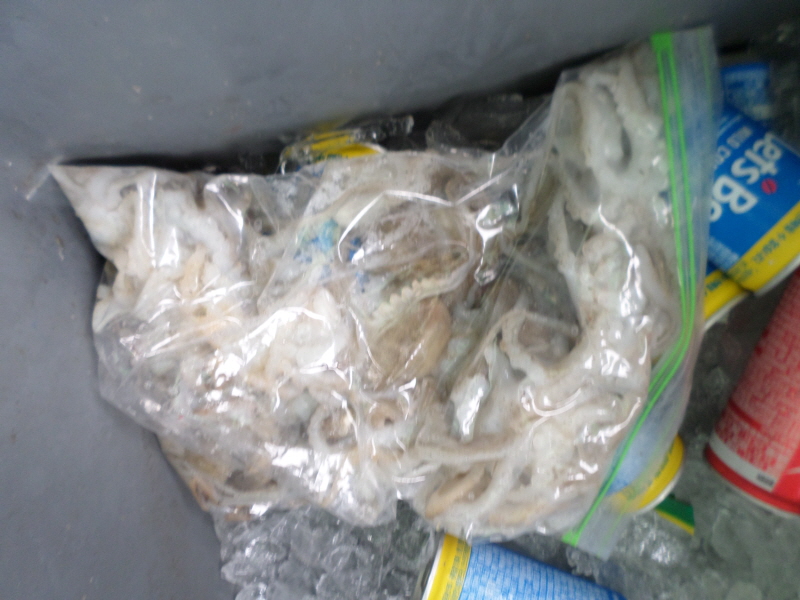 레인져호 조황갤러리입니다.