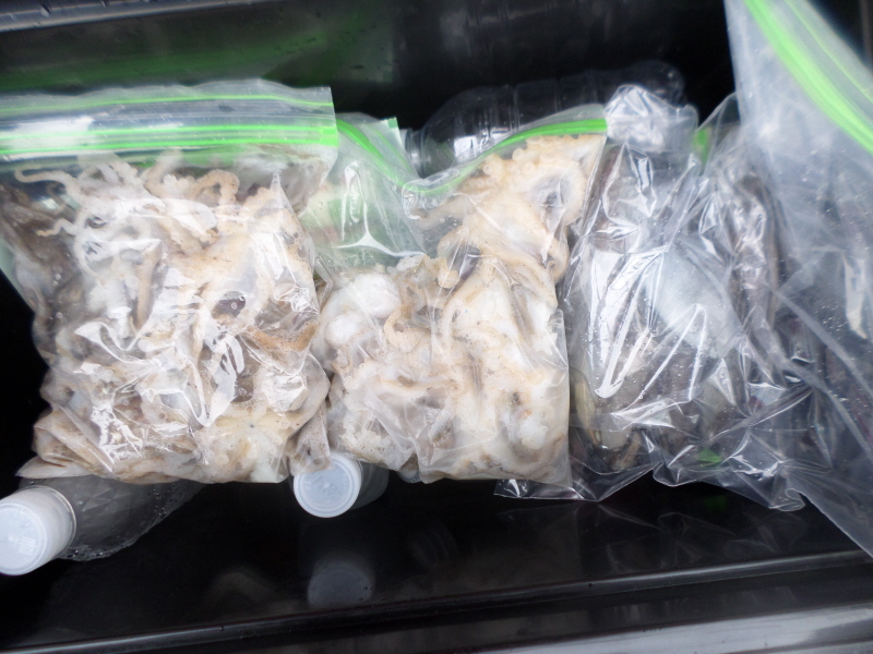 레인져호 조황갤러리입니다.