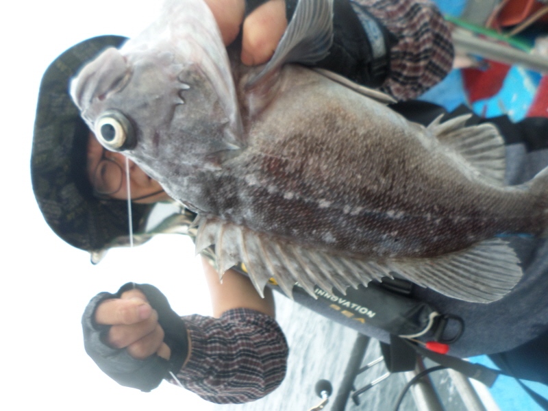 레인져호 조황갤러리입니다.