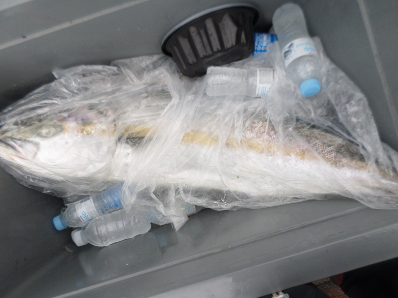 레인져호 조황갤러리입니다.