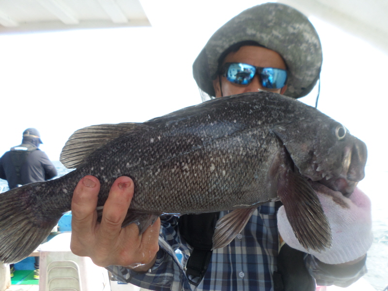 레인져호 조황갤러리입니다.