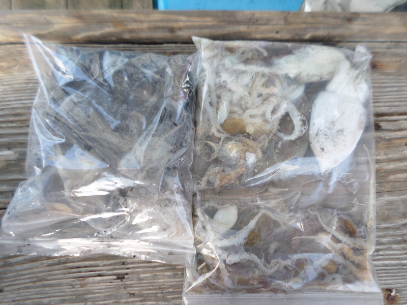 레인져호 조황갤러리입니다.