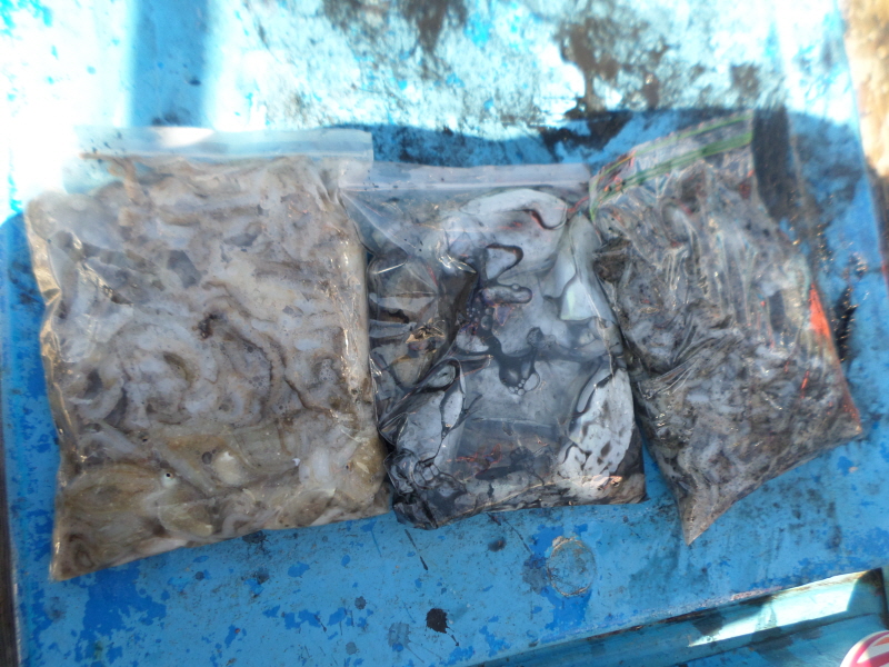 레인져호 조황갤러리입니다.