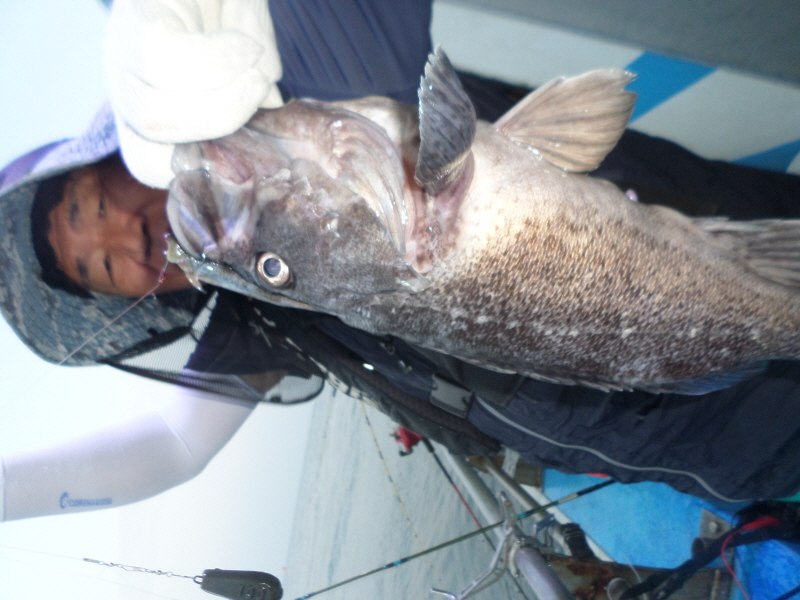 레인져호 조황갤러리입니다.