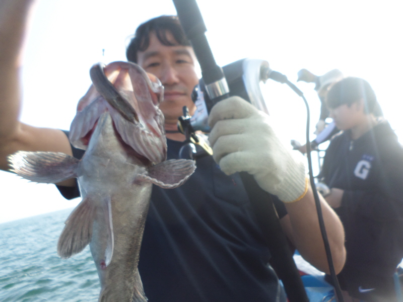 레인져호 조황갤러리입니다.