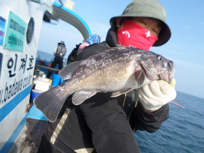 레인져호 조황갤러리입니다.