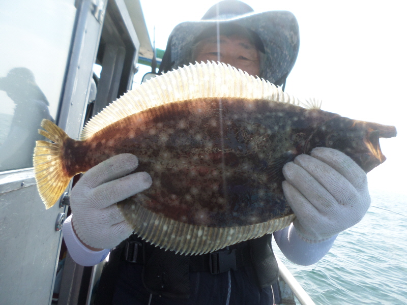 레인져호 조황갤러리입니다.