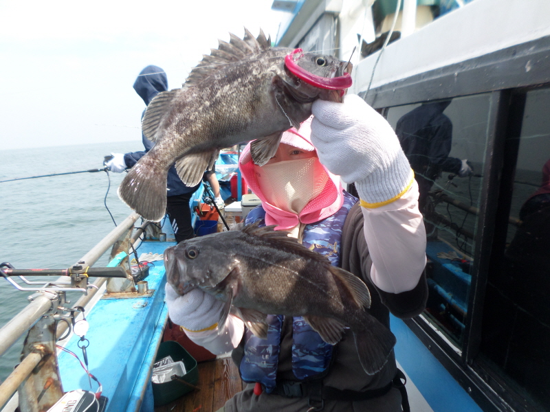 레인져호 조황갤러리입니다.