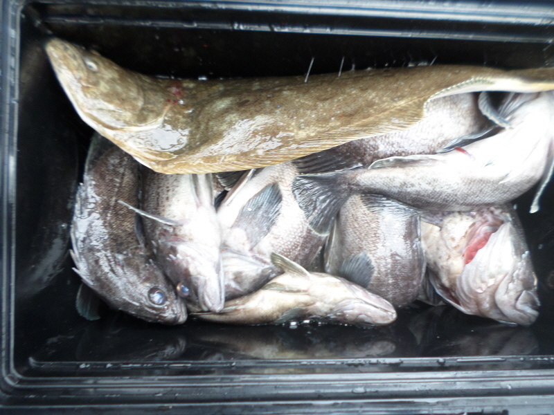 레인져호 조황갤러리입니다.