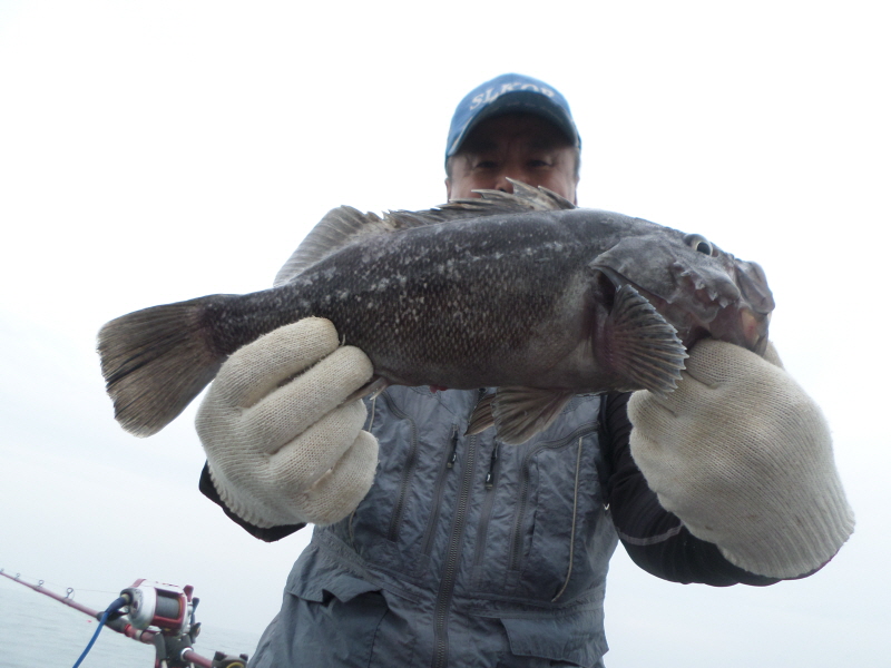 레인져호 조황갤러리입니다.