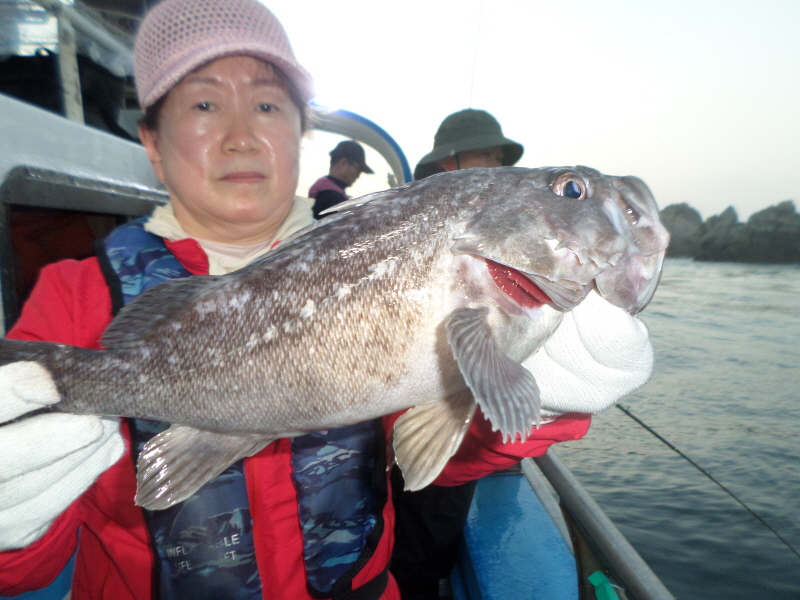 레인져호 조황갤러리입니다.