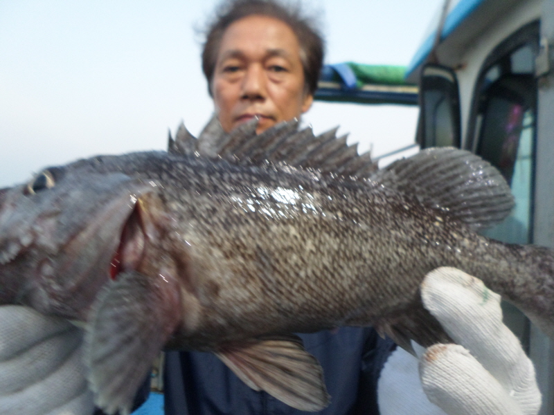 레인져호 조황갤러리입니다.