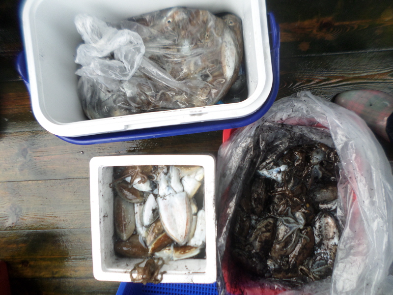 레인져호 조황갤러리입니다.