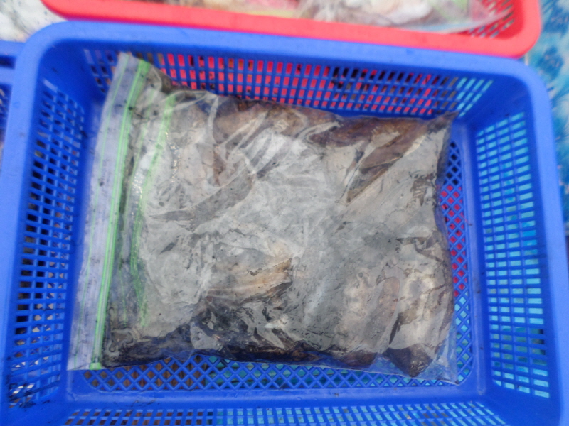 레인져호 조황갤러리입니다.