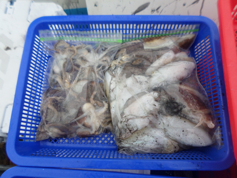 레인져호 조황갤러리입니다.