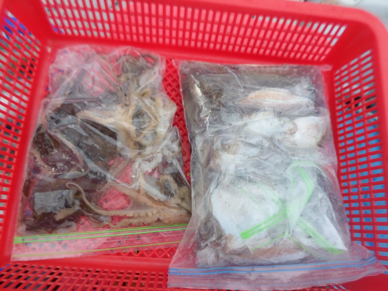 레인져호 조황갤러리입니다.