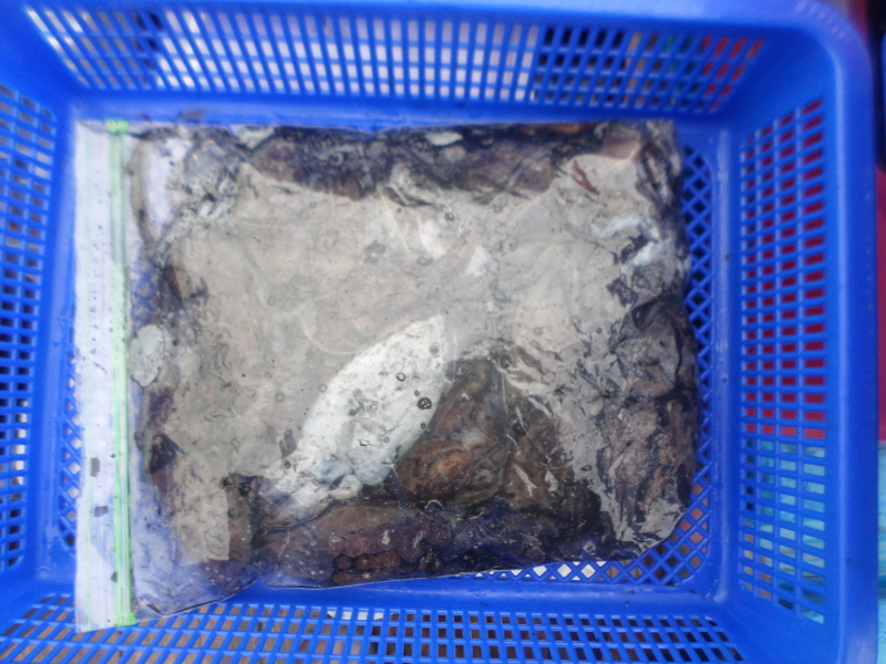 레인져호 조황갤러리입니다.