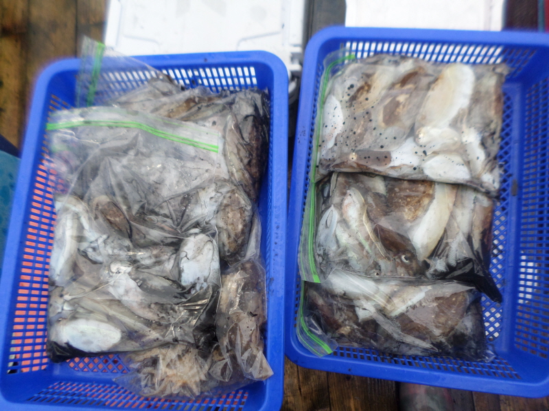 레인져호 조황갤러리입니다.