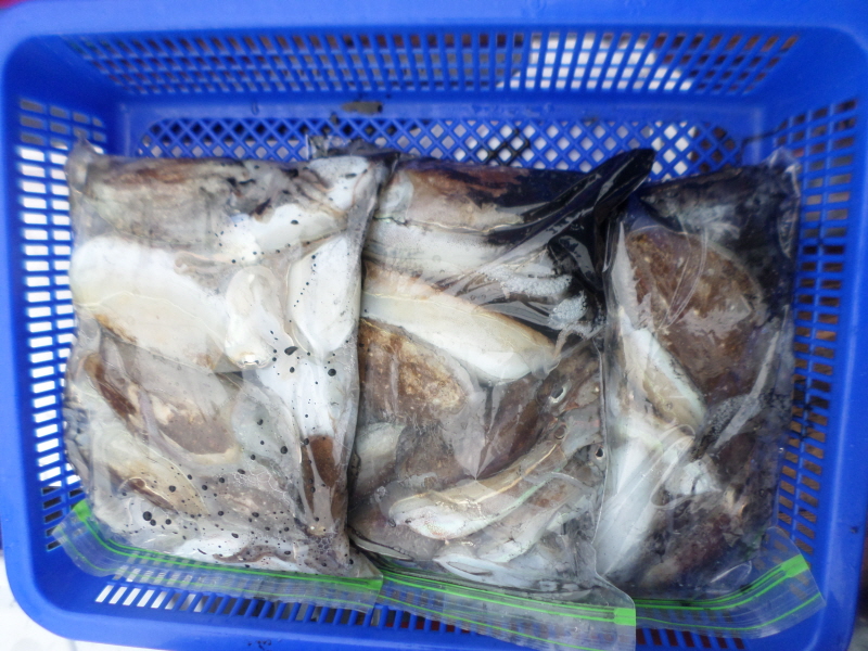 레인져호 조황갤러리입니다.