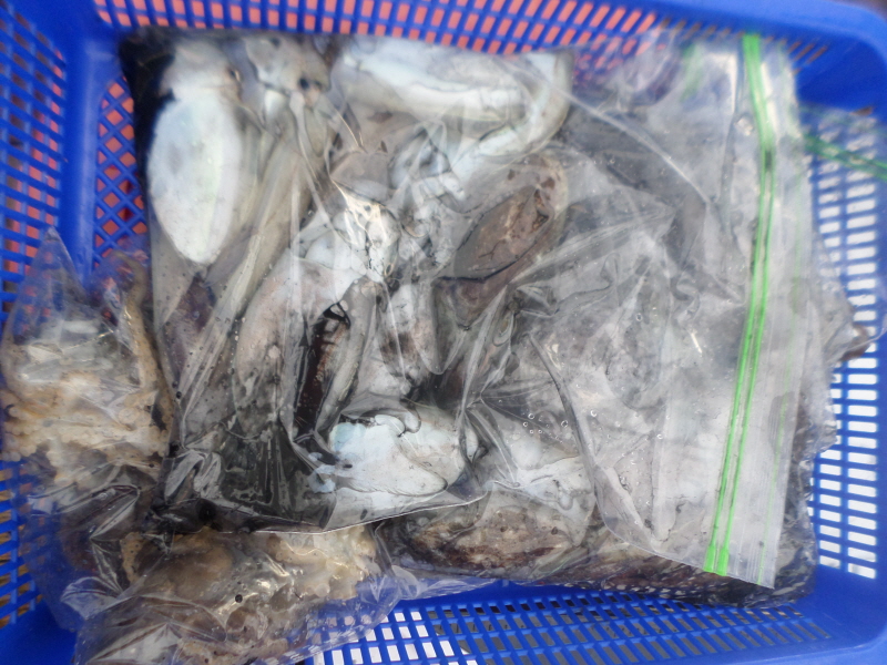 레인져호 조황갤러리입니다.