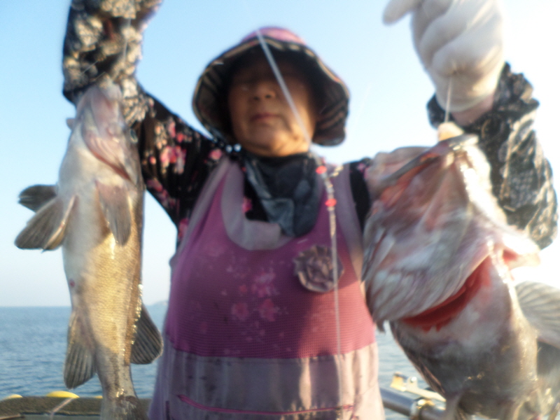 레인져호 조황갤러리입니다.