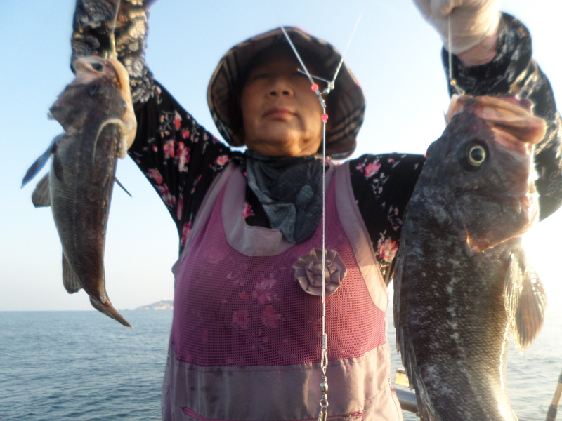 레인져호 조황갤러리입니다.