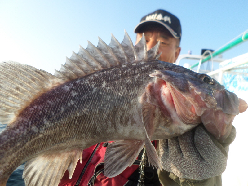 레인져호 조황갤러리입니다.