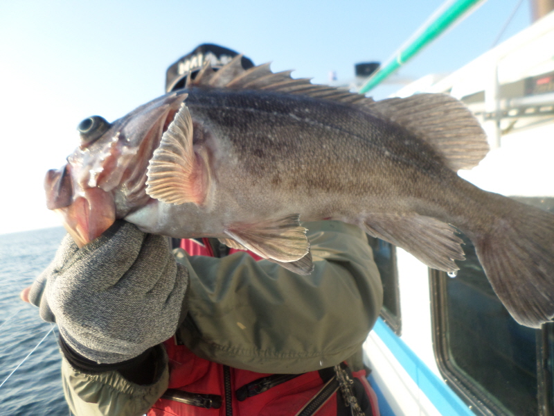 레인져호 조황갤러리입니다.