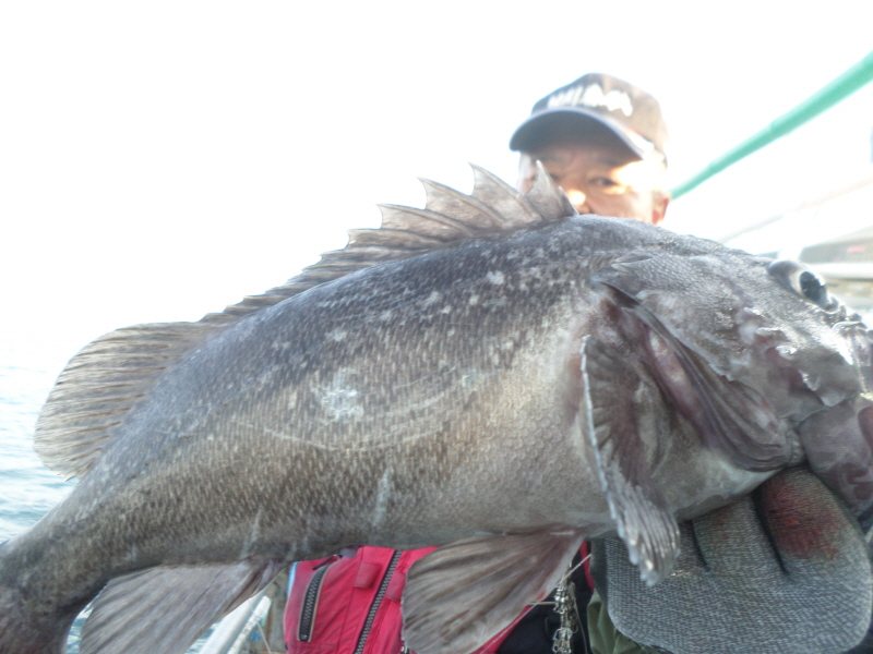 레인져호 조황갤러리입니다.