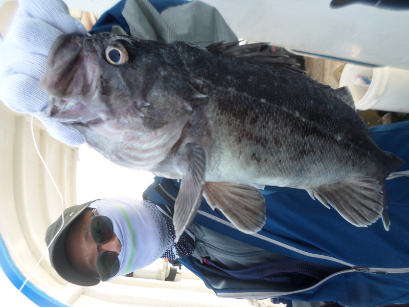레인져호 조황갤러리입니다.