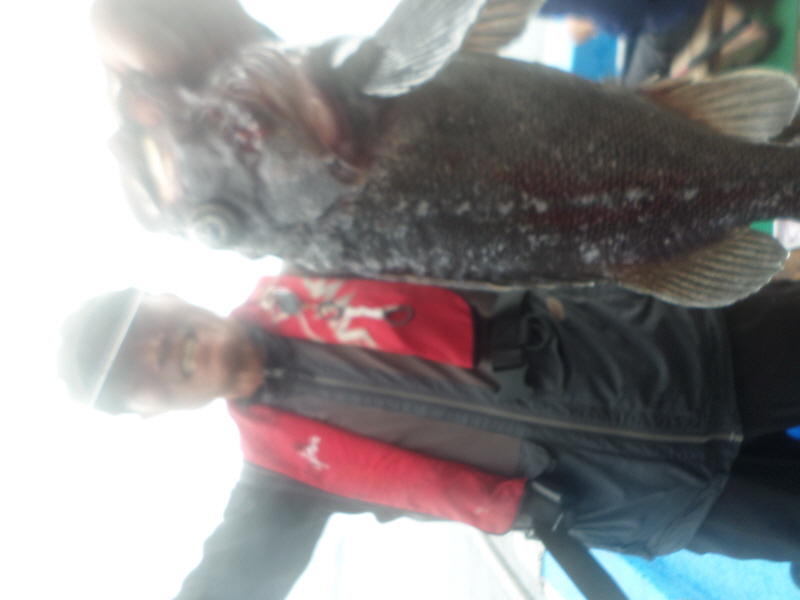 레인져호 조황갤러리입니다.