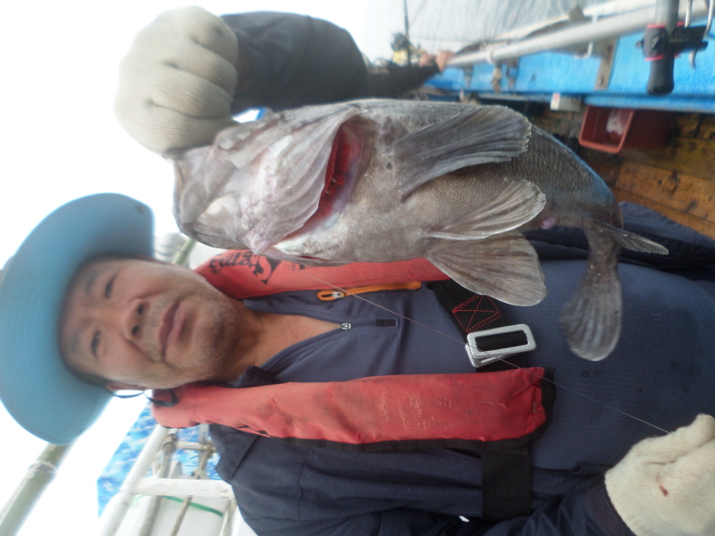 레인져호 조황갤러리입니다.