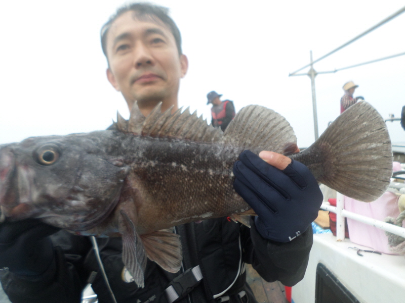 레인져호 조황갤러리입니다.
