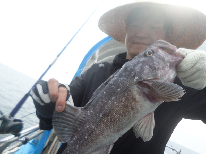 레인져호 조황갤러리입니다.