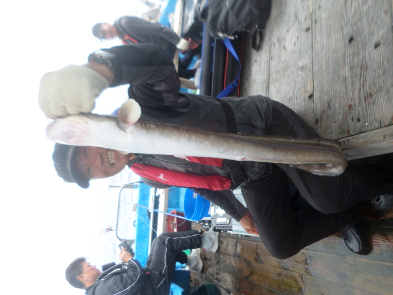 레인져호 조황갤러리입니다.