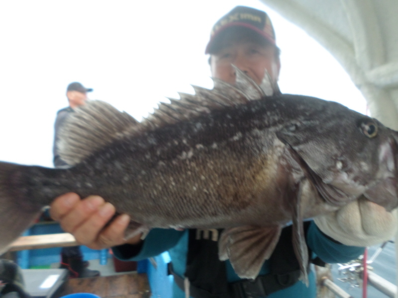 레인져호 조황갤러리입니다.