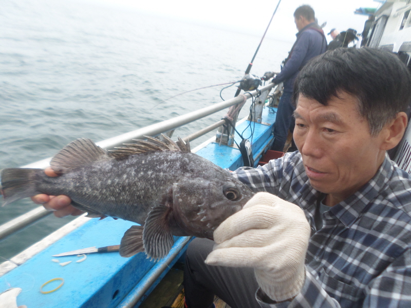 레인져호 조황갤러리입니다.