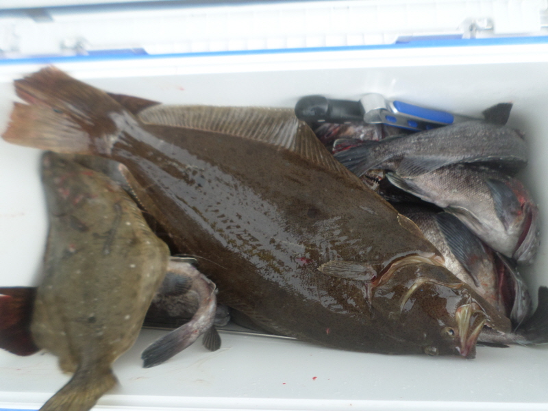 레인져호 조황갤러리입니다.