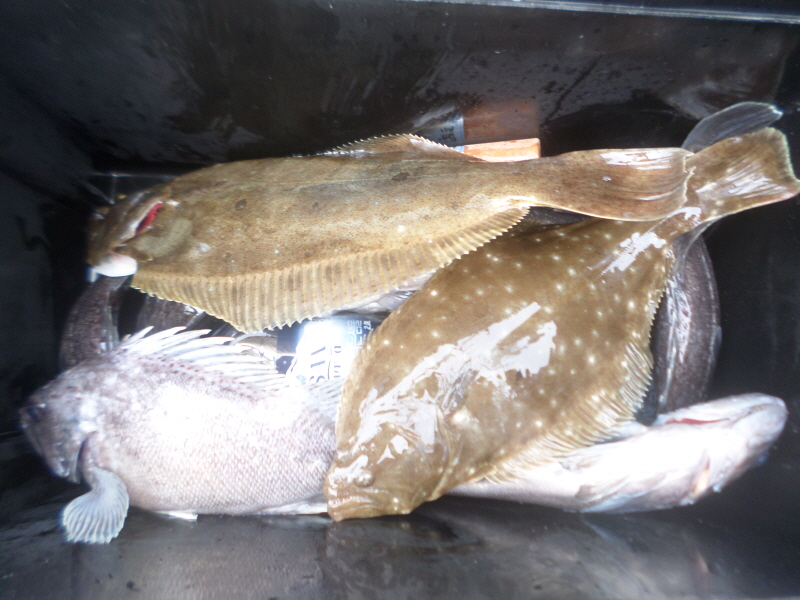 레인져호 조황갤러리입니다.