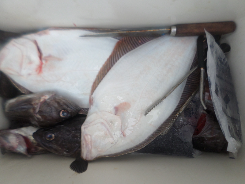 레인져호 조황갤러리입니다.