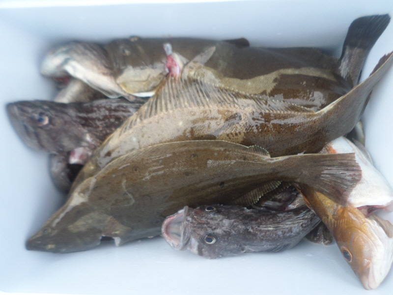 레인져호 조황갤러리입니다.